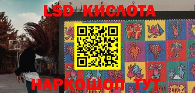 шишки Пенза