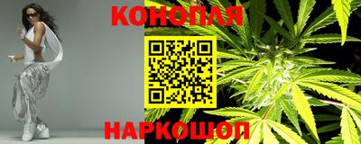 гидропоника Партизанск