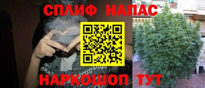 шишки Пенза