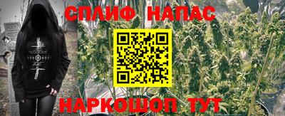 шишки Пенза